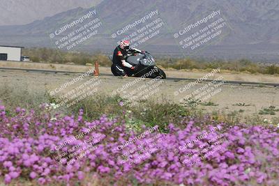 media/Feb-04-2023-SoCal Trackdays (Sat) [[8a776bf2c3]]/Turn 15 Inside Blooming (1050am)/